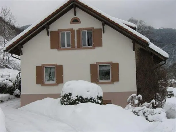 Haus Irene - Image 1