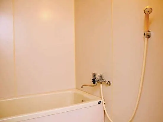Daiichi Business Hotel Matsuya - Image 1