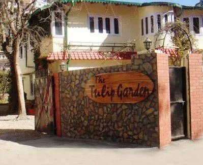 Tulip Garden - Image 1