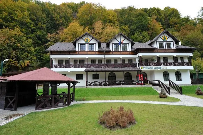 Pensiunea Ciprian - Image 1