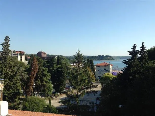 DRAGICA - Image 1