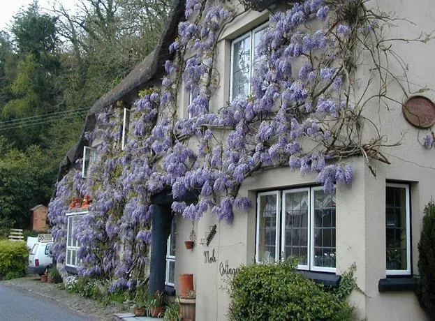 Mole Cottage B&B - Image 1
