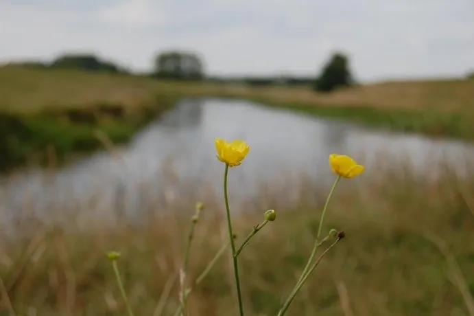 GreensLodge - Image 1