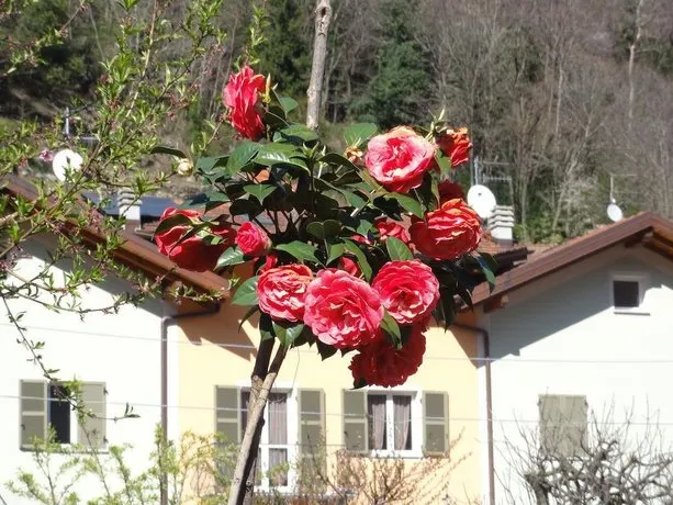 Casale Appartamento di Vacanza - Image 1