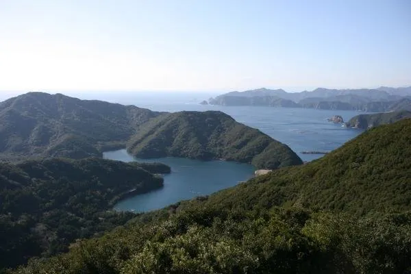 New Matsuoka - Image 1