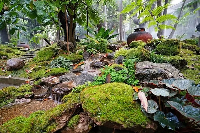 Tree Scape Retreat Resort - Image 1