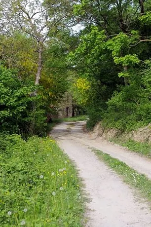 Vinco - Image 1