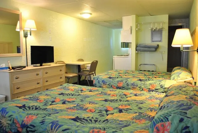 Palmetto Inn & Suites - Image 1