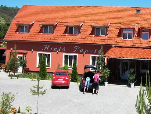 Pensiunea Trasura - Hinto Panzio - Image 1
