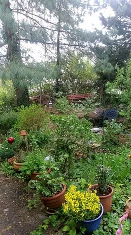 B&B am Park - Image 1