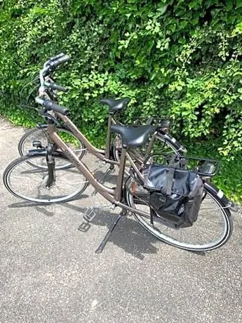 Bed En Bike Texel - Image 1