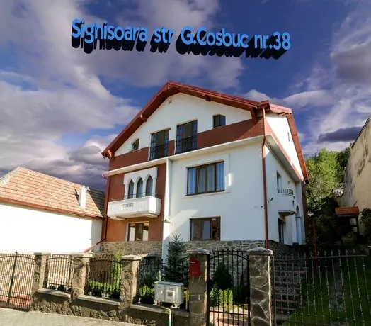 Cosbuc Residence - Image 1