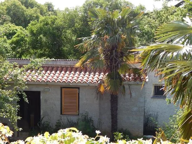 Apartment Tomato - Image 1