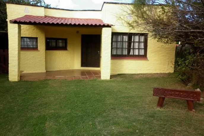 Girasoles La Paloma - Image 1