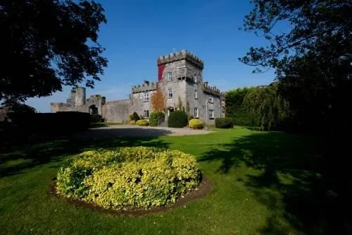 Fanningstown Castle - Image 1