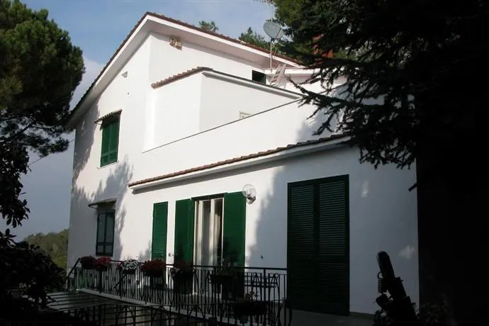 La Murena - Image 1