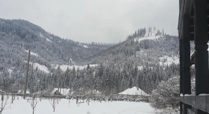 Verde de Bucovina - Image 1