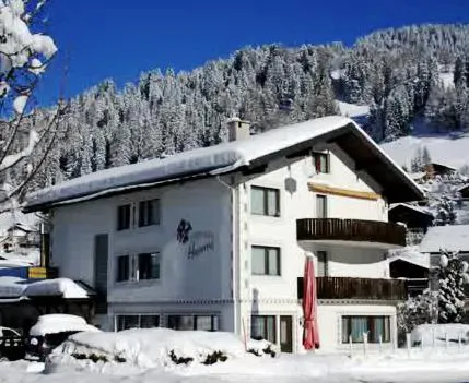 Hemmi - Image 1