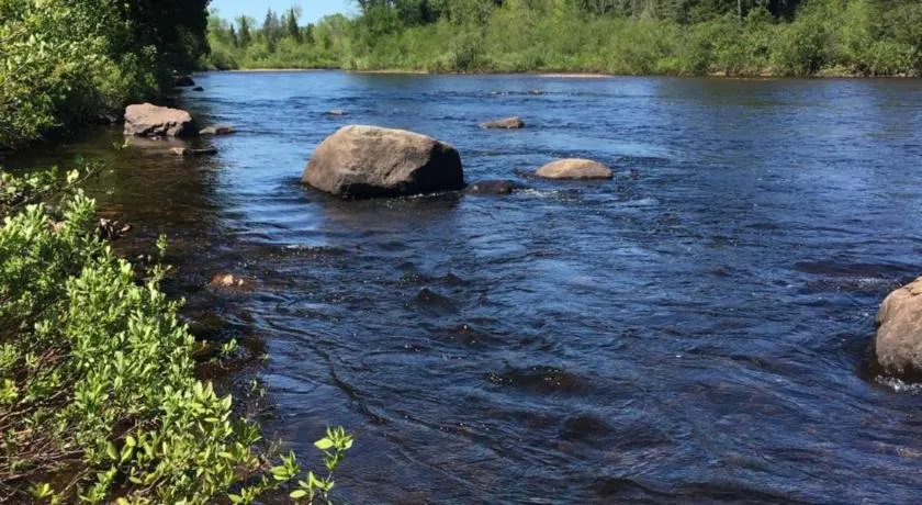 La rivière enchantée - Image 1