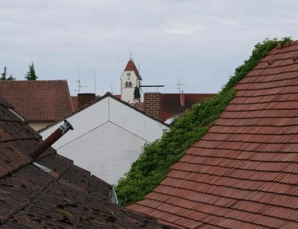 Haus Rebstein - Image 1