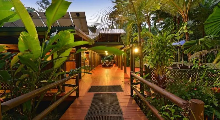 Wait A While Daintree - Image 1