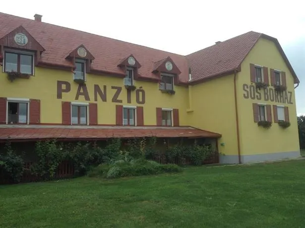 Sos Borhaz Panzio - Image 1