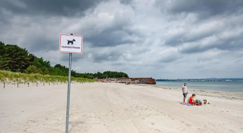 FeWo Prora - Hygge - Image 1