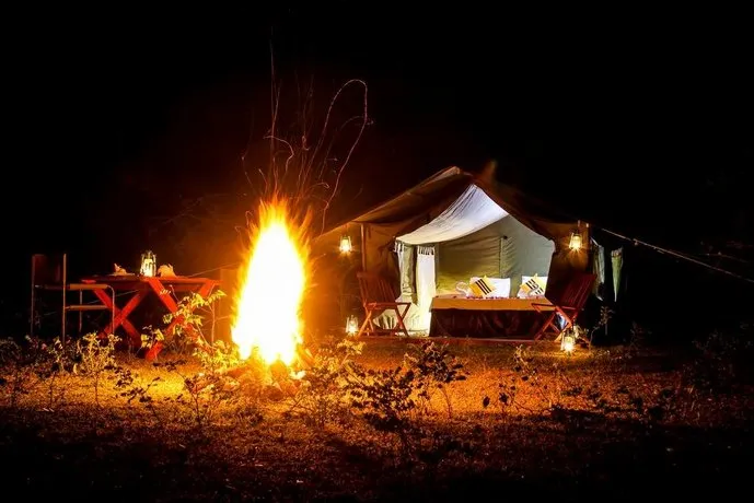 Yala Leopard Mobile Camp - Image 1