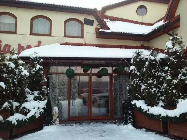 Noclegi Pod Lwem - Image 1