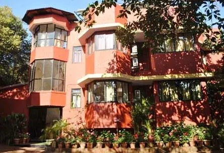 Tree Top Bungalows - Image 1