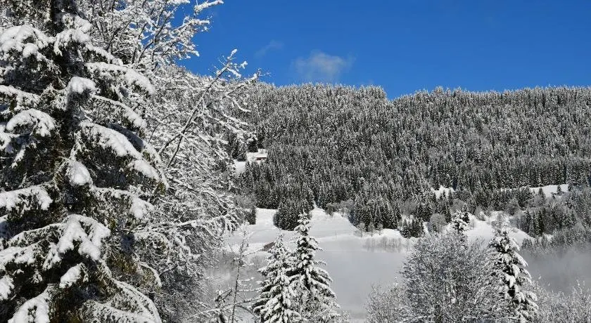 Chalet Orlando - Image 1