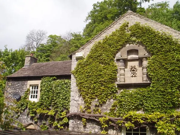 River Cottage - Image 1