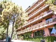 Pine Drive Resort - Image 1