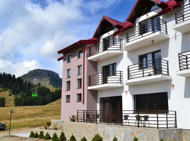 Pensiunea Valea Cocorei - Image 1