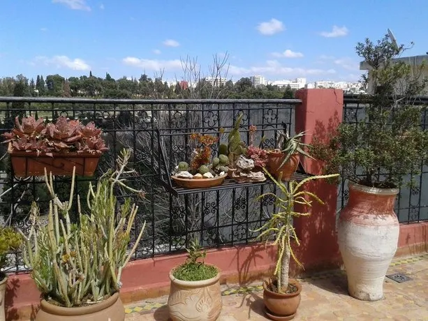 Riad Ould Dona - Image 1