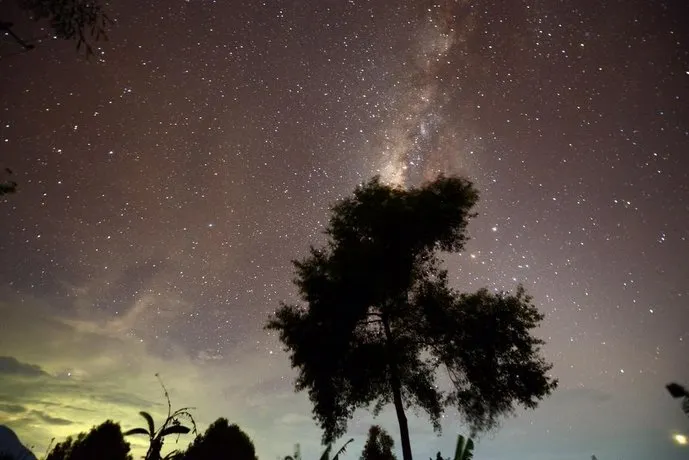 Manik Bulan - Image 1