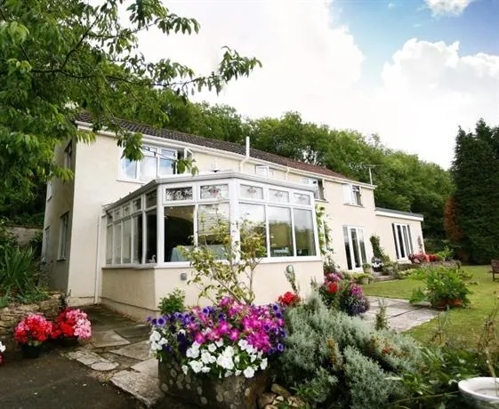 Cleeves Wood - Image 1