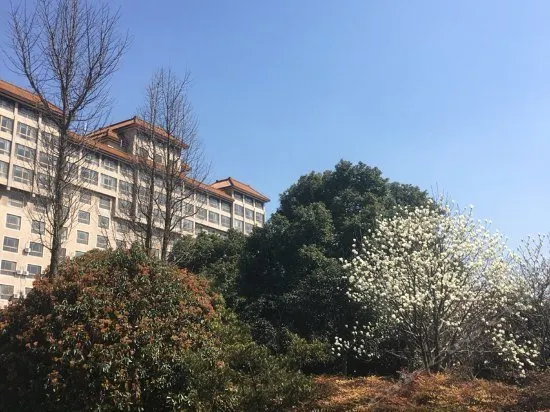 TIANYI RESORT - Image 1