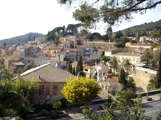 Les Palmiers - Image 1