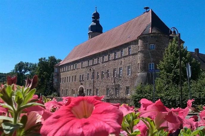 Healing Castle Schochwitz - Image 1