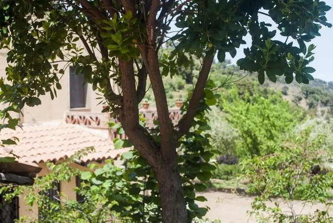 Agriturismo Fattoria Di Grenne - Image 1