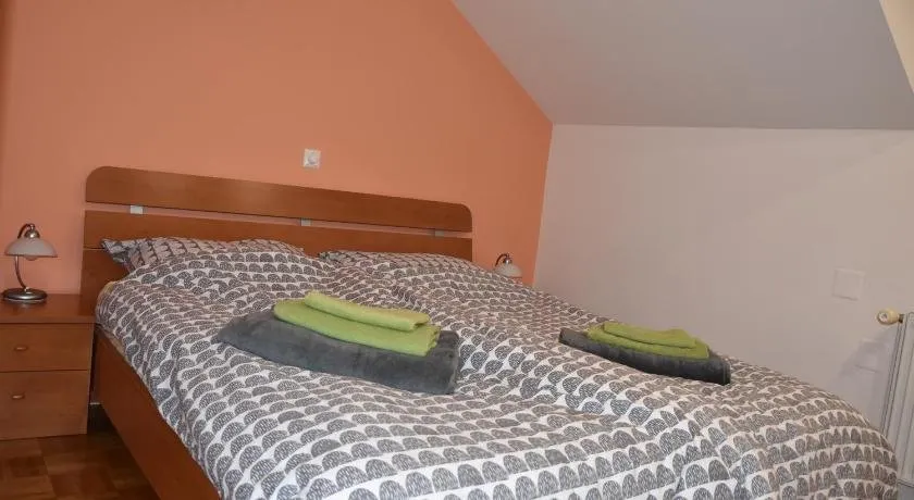Apartment Kranj - huge terrace, free P, WI - FI, AC - Image 1