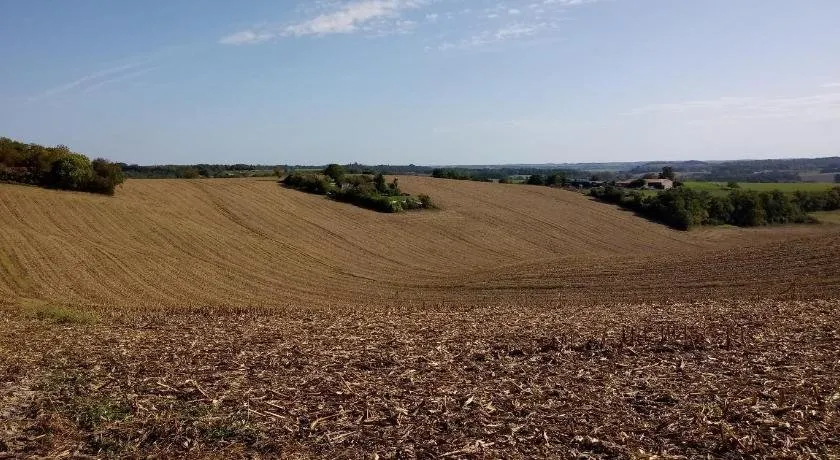 La Tranquillite, Le Calme - Image 1
