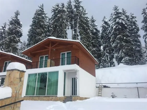Cottage Kokhta Bakuriani - Image 1