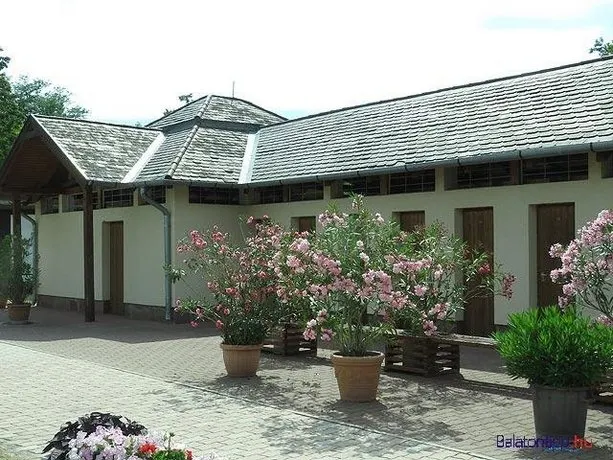 Zanka-Balaton - Image 1