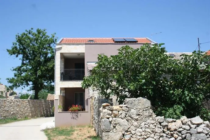 House Ruza rose - Image 1