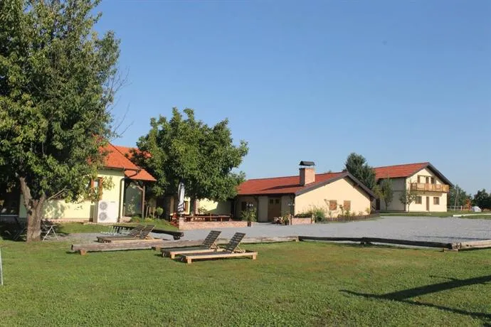Rooms & Apartment Vinia - Image 1