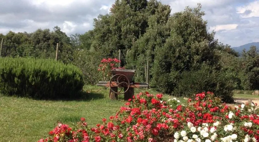 Agriturismo Donzellino - Image 1