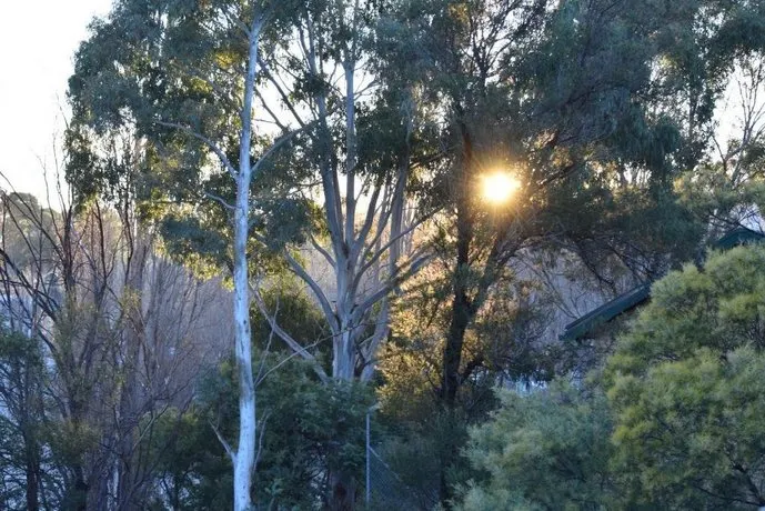Alpine Leisure Resort - Image 1