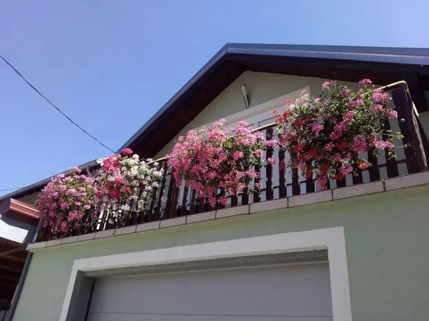 Apartman Ana Gracac - Image 1